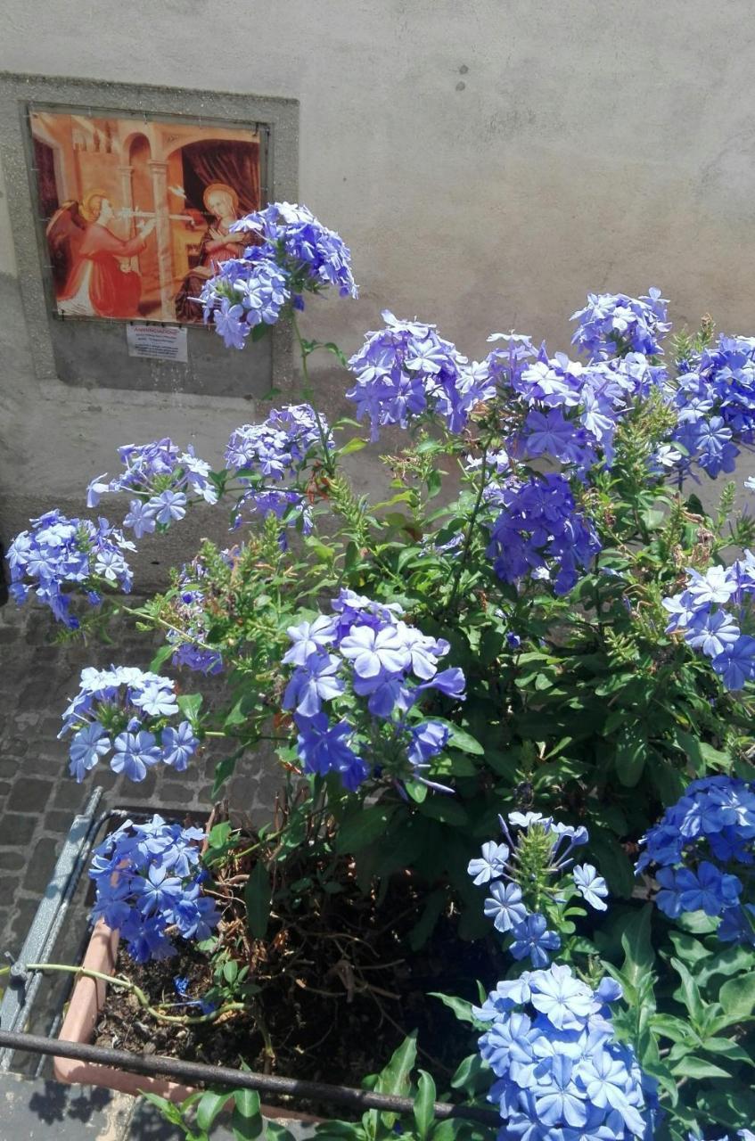 Palazzetto Bentivoglio Villa Sassoferrato Buitenkant foto